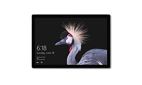 2017 New Surface Pro Bundle (4 Items): Core i7 16GB 512GB Tablet, Surface Pro Signature Type Cover Platinum, New Surface Pen Platinum, Mini DisplayPort Adaptor