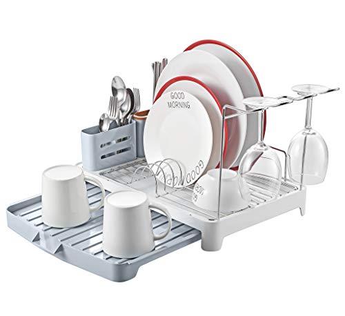 Lonheo Dish Rack Over The Sink with Hooks (White)