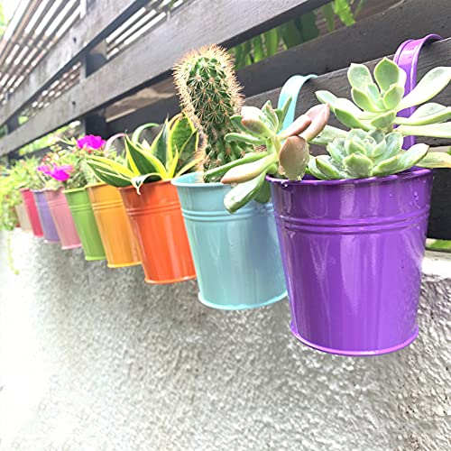 Small Hanging Planters Outdoor, 4 Inch, 10 Rainbow Planter Colorful Flower Pots Metal Iron, Rail Planters, Balcony Planter Garden Deck Railing Plant Hanger Fence Wall, Herb Bucket Indoor Window Boxes