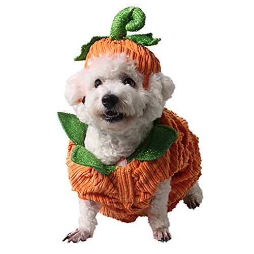 Legendog Dog Halloween Costume Dog Apparel Pumpkin Design Creative Funny Pet Clothing with Pumpkin Hat